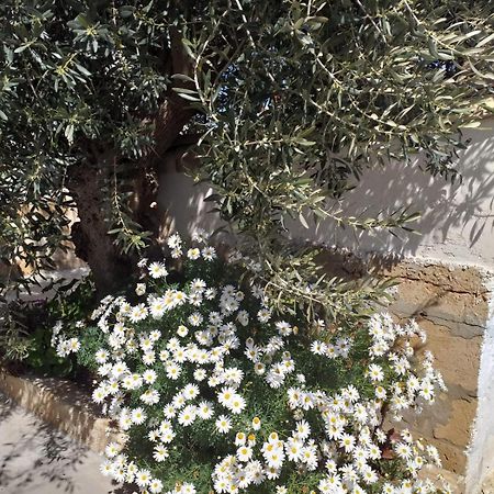 Casa Le Gebbie Villa Marzamemi Exterior foto