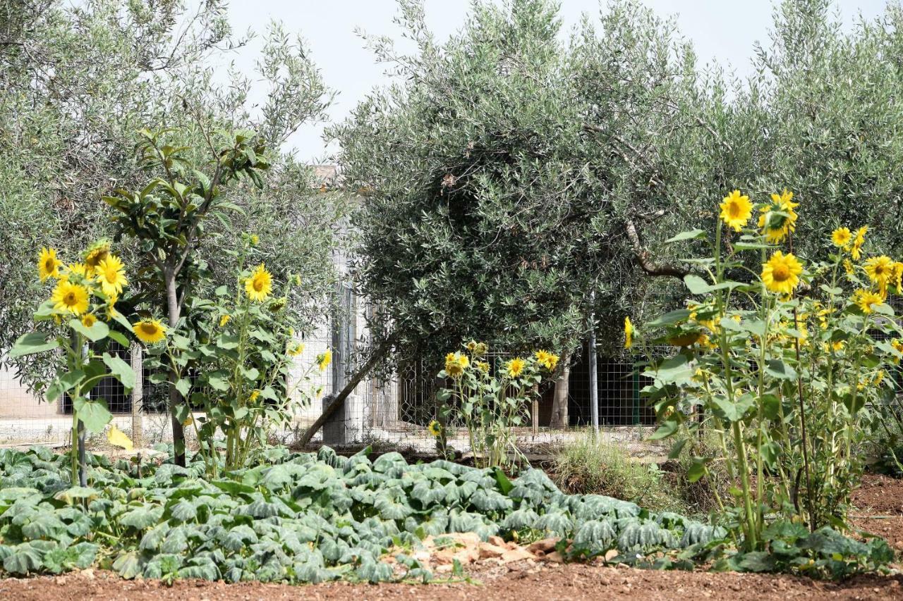 Casa Le Gebbie Villa Marzamemi Exterior foto